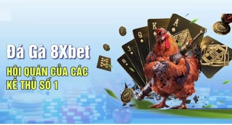 a2 21 Làm thế nào để anh em cược thủ có thể tham gia đá gà 8XBET?