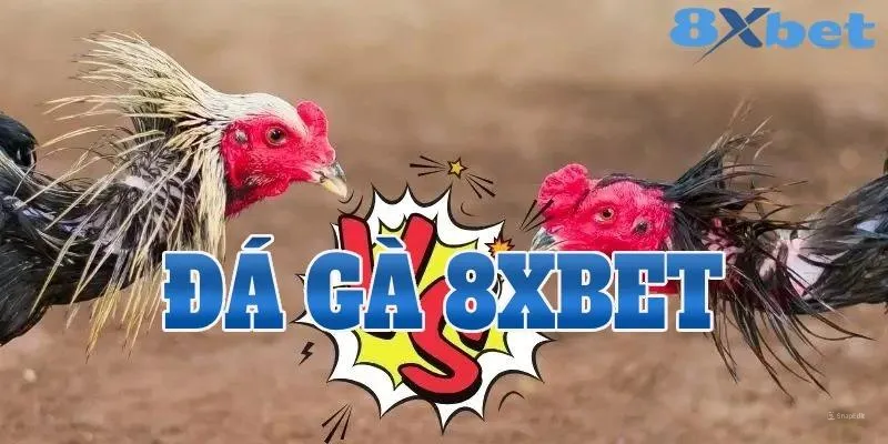 snapedit 1726829945090 Đá Gà 8xbet